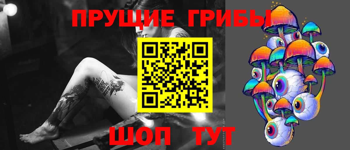 Псилоцибиновые грибы ЛСД  Псилоцибиновые грибы GOLDEN TEACHER  Вход с VPN  Тында 